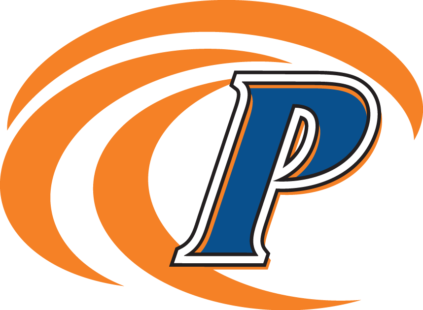 Pepperdine Waves 2004-2010 Secondary Logo iron on transfers for clothing
